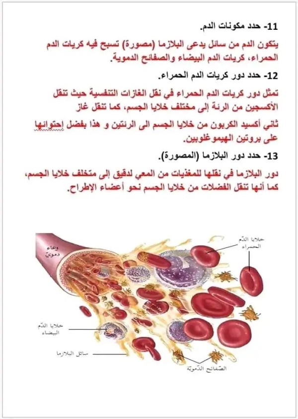 حل فرض في مادة العلوم الطبيعية الرابعة متوسط